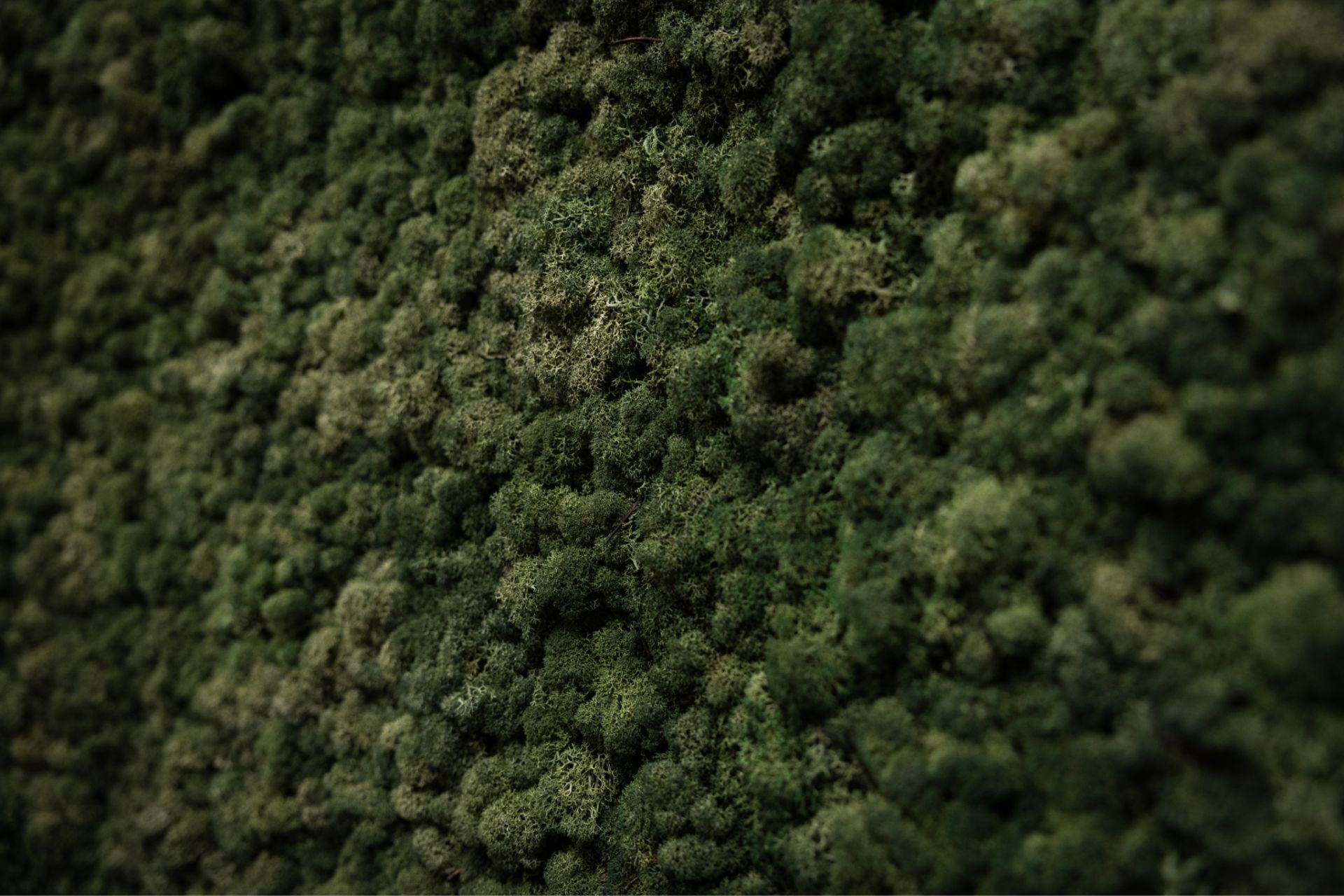 Complete smile makeover — veneers and implants at Dolan Dental